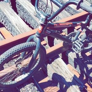 Meet your Posher, Dylan